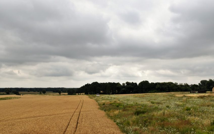 Urokliwe działki budowlane z widokiem na masyw Ślęży – osiedle Pana Tadusza.